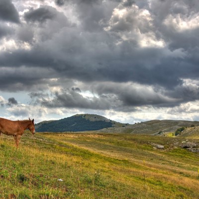 1920 x 1080 HD Wallpapers 2215